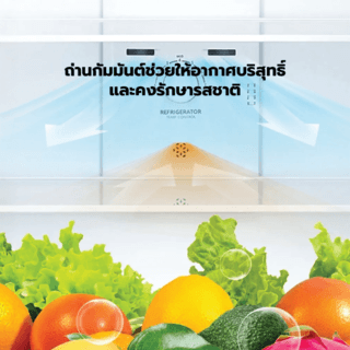 HISENSE ตู้เย็น 2 ประตู ขนาด 14.7 คิว รุ่น RB556N4TGN สีเงิน