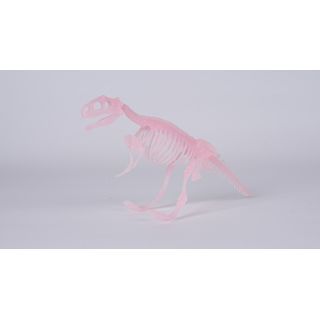 TOYS  กล่องสุ่มโมเดลคล สำหรับขุดโครงกระดูกไดโนเสาร์เรืองแสง