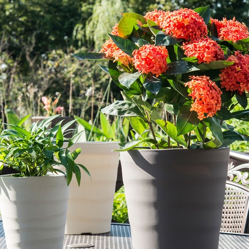 Tree‘O กระถางต้นไม้ทรงกลม  รุ่น6PY009-BE ขนาด15x16ซม. (6นิ้ว) สีน้ำตาลอ่อน