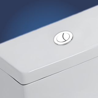 Verno ชุดปุ่มกดชำระทรงกลม 2 ระบบ รุ่น PQS-C3827  ขนาด 38 มม. 