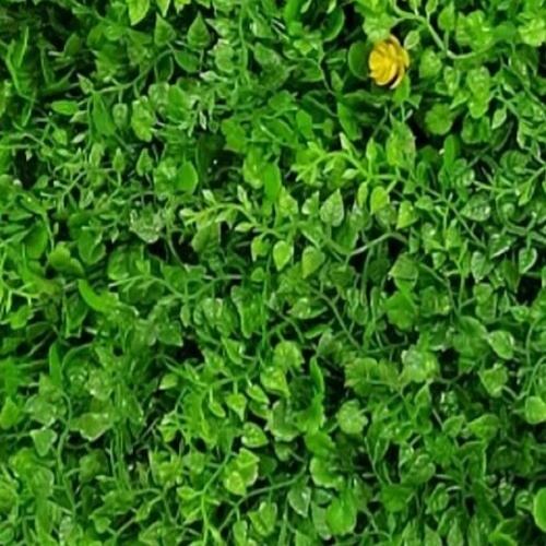 หญ้าเทียมแผ่นตกแต่ง ARK-66531  ขนาด 40x60CM