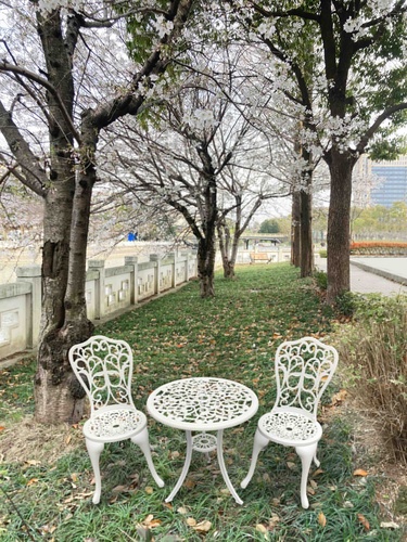 TREE O ชุดโต๊ะสนาม 2ที่นั่ง XG1020 สีขาว 