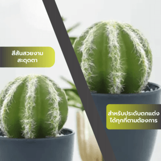แคคตัสประดิษฐ์  XJLRD-23XRQ สูง 13CM