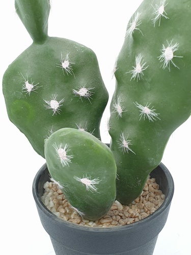 แคคตัสประดิษฐ์  XJLRD-19XRZ สูง 24CM