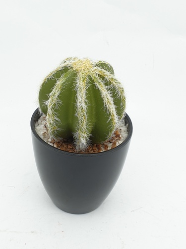 แคคตัสประดิษฐ์  XJLRD-23XRQ สูง 13CM