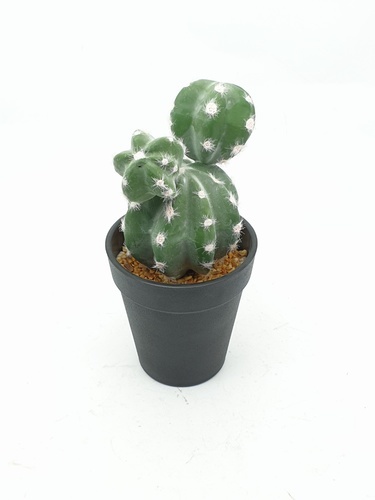 แคคตัสประดิษฐ์  XJLRD-29XRQ สูง 21CM