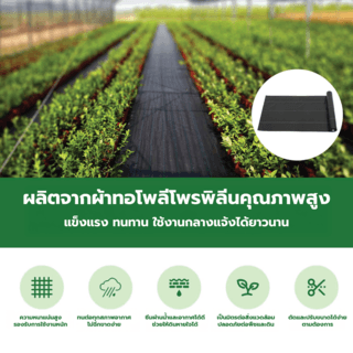 POLLO ผ้าพลาสติกคลุมวัชพืช PE รุ่นWDC0920M ขนาด 0.9x20M สีดำ