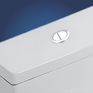 Verno ชุดปุ่มกดชำระทรงกลม 2 ระบบ รุ่น PQS-C4821HS  ขนาด 48 มม. 