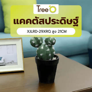แคคตัสประดิษฐ์  XJLRD-29XRQ สูง 21CM