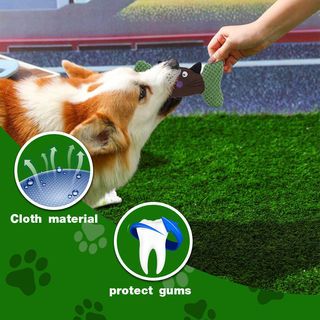 DUDUPETS ของเล่นสัตว์เลี้ยง รุ่นWP08 ขนาด 11X19.5X3ซม.สีเขียว