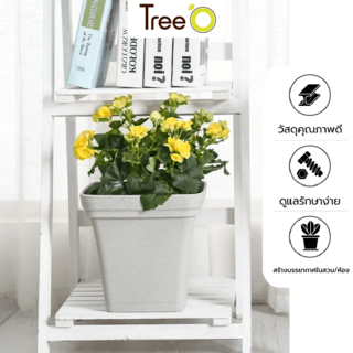Tree’ O กระถางต้นไม้ รุ่น 6PY022-WH ขนาด 15 x 15 x 14 ซม. (6นิ้ว) สีขาว