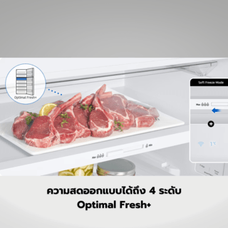 SAMSUNG ตู้เย็น 2 ประตู ขนาด 16.4 คิว รุ่น RT47CG6644S9ST สีเทา