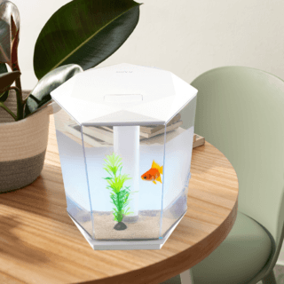 BOYU ชุดAquariumตู้ปลา6มุมพร้อมระบบกรองน้ำ รุ่นDY-4 ขนาดตู้11ลิตร ก10ย11ส12นิ้ว สีขาว