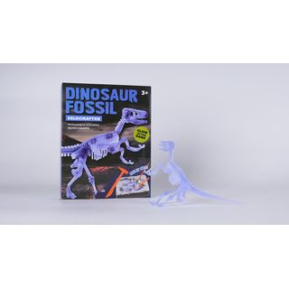 TOYS  กล่องสุ่มโมเดลคล สำหรับขุดโครงกระดูกไดโนเสาร์เรืองแสง