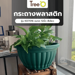 Tree O กระถางพลาสติก  รุ่น KD7016 ขนาด 12นิ้ว สีเขียว