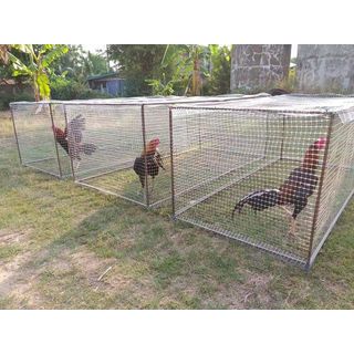 POLLO ตาข่ายพลาสติก 2x30M. สีขาว