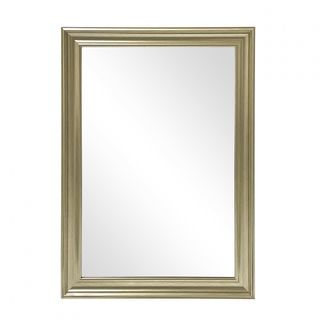 Nice กระจกมีกรอบ (PS)  รุ่น ฮอลลี่-ซิลเวอร์ ขนาด 40x60 ซม. สีเงิน