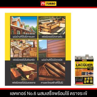จระเข้ แลคเกอร์-จระเข้ #6 1 กล.