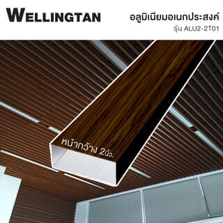 អាលុយមីញ៉ូម ទំហំ 2 ប្រវែង 2m ស៊េរី ALU2-2T01