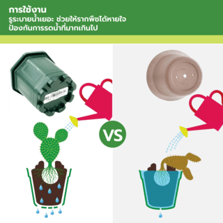 GREENHOUSE กระถาง แคคตัส 3 นิ้ว สีเขียว