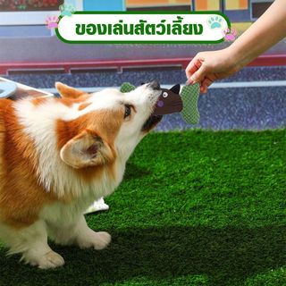 DUDUPETS ของเล่นสัตว์เลี้ยง รุ่นWP08 ขนาด 11X19.5X3ซม.สีเขียว