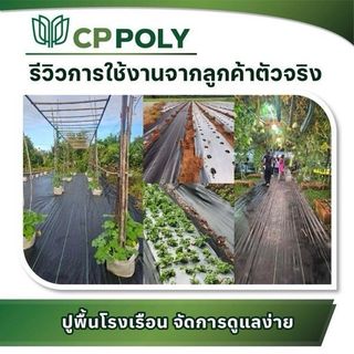 CP ผ้าพลาสติก คลุมวัชพืช  2x10M.