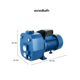 MIZUMA ปั๊มหอยโข่งดูดลึก ส่งสูง 2HP(1.5 KW)  รุ่นDP505  สีน้ำเงิน