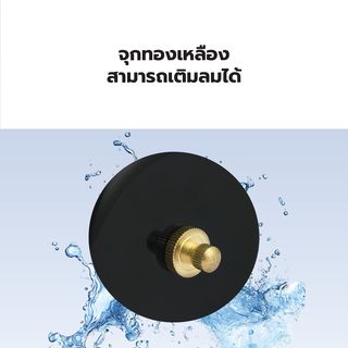 MIZUMA ถังแรงดัน 2L รุ่น PSA60