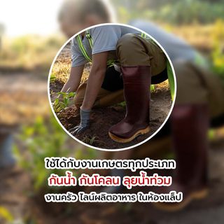 รองเท้าบูทกันน้ำ สูง 57 cm. เบอร์ 11