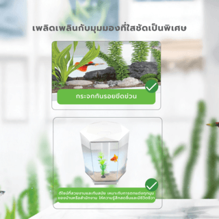 BOYU ชุดAquariumตู้ปลา6มุมพร้อมระบบกรองน้ำ รุ่นDY-4 ขนาดตู้11ลิตร ก10ย11ส12นิ้ว สีขาว