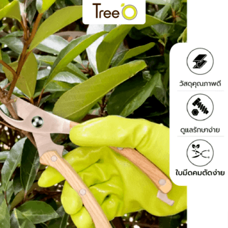 Tree’O กรรไกรตัดกิ่งสแตนเลสด้ามไม้ รุ่นGP2072ขนาด8นิ้ว สีไม้