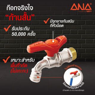 ANA ก๊อกบอล จริงใจ 1/2