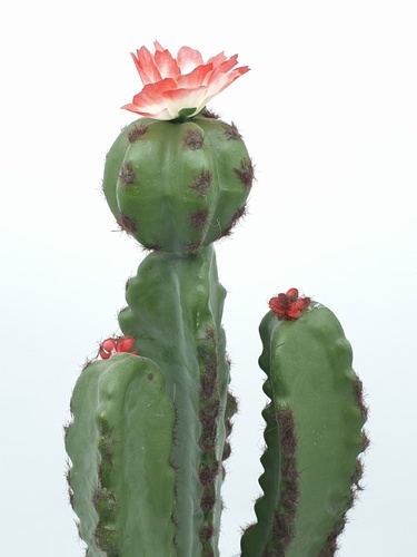 แคคตัสประดิษฐ์ XJLRD-16XRZ สูง 45CM