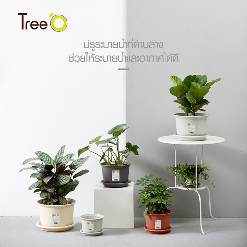 Tree’ O กระถางต้นไม้ รุ่น PY-2006GY ขนาด 30.6 x 30.6 x 21 ซม. (12นิ้ว) สีเทา