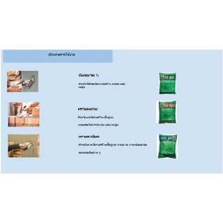 ทรายละเอียด ขนาด 25 กก. BIG BEAR