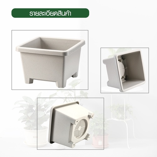Tree’ O กระถางต้นไม้ รุ่น PY-2008WT ขนาด 27.6 x 27.6 x 19 ซม. (12นิ้ว) สีขาว