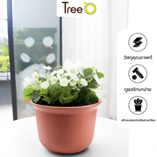 Tree’ O กระถางต้นไม้ รุ่น 6PY006-RD ขนาด 30.6 x 30.6 x 21 ซม. (12นิ้ว) สี แดงอิฐ