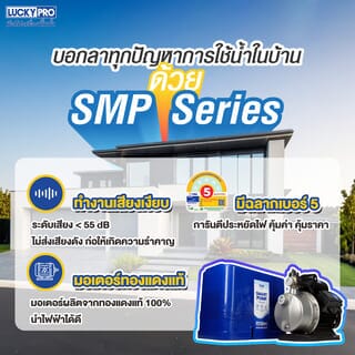 LUCKY ปั๊มอัตโนมัติหลายใบพัด แรงดันคงที่ 370C วัตต์ 220 โวล์ท
