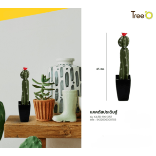 แคคตัสประดิษฐ์  XJLRD-11XHXRZ สูง 45CM