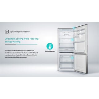 HISENSE ตู้เย็น 2 ประตู ขนาด 14.7 คิว รุ่น RB556N4TGN สีเงิน