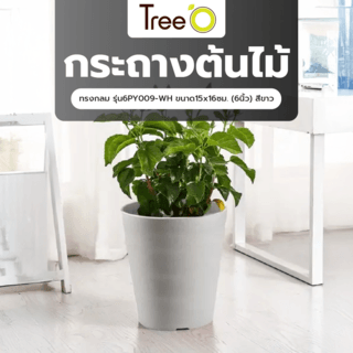 Tree‘O กระถางต้นไม้ทรงกลม รุ่น6PY009-WH ขนาด15x16ซม. (6นิ้ว)  สีขาว