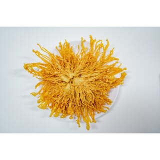 เห็ดเข็มทองทอดกรอบ รสต้นตำรับ