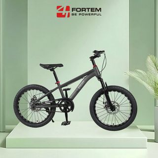 FORTEM จักรยานเด็กเสือภูเขา รุ่น Luna-02 ขนาด 20 นิ้ว  สีเทา