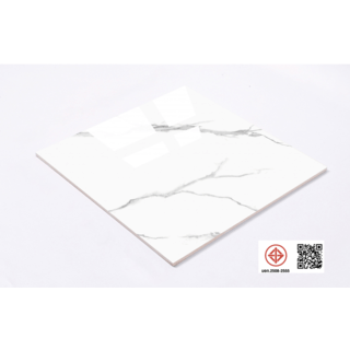 Marbella กระเบื้องพอร์ซเลน 60x60 ซม. รุ่น คาร่าจีน่า  LT6619   Gloss (4P) Random