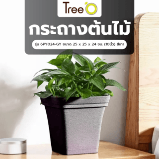Tree  O กระถางต้นไม้ รุ่น 6PY024-GY ขนาด 25 x 25 x 24 ซม. (10นิ้ว) สีเทา
