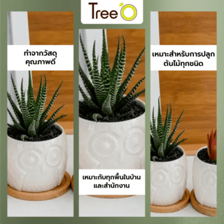 Tree’O กระถางเซรามิก นกฮูกพร้อมจานรอง รุ่น 4LY-003 สีขาว