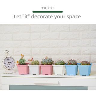 Tree O กระถางต้นไม้ รุ่น HYF002 ขนาด 10*10*8.5 ซม. คละสี