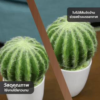 แคคตัสประดิษฐ์  XJLRD-21XRQ สูง 24CM