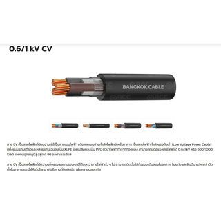 BCC สายไฟ kV CV 3x2.5 ตร.มม. 100 m. สีดำ