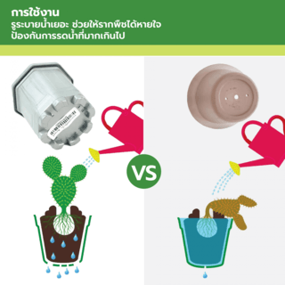 GREENHOUSE กระถาง แคคตัส 3 นิ้ว สีบรอนซ์